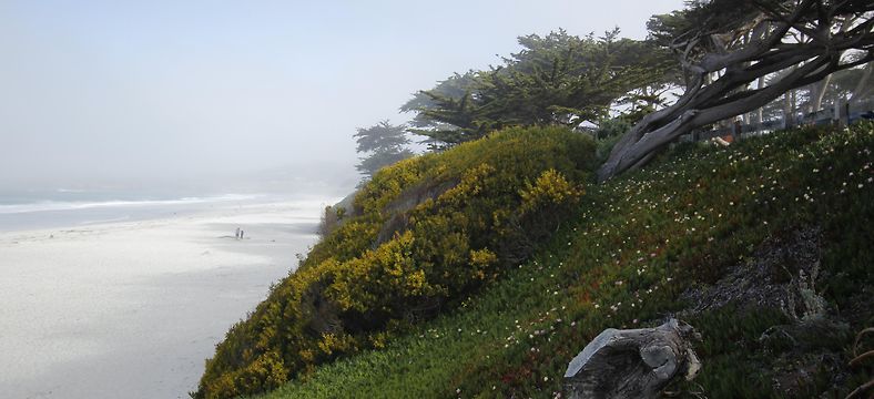 Hotel The Getaway 4 Carmel By The Sea Ca Vergleichen Sie Hotelpreise